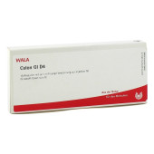 COLON GL D 4 Ampullen (PZN 2830728)