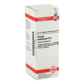 ZINCUM METALLICUM D 6 Dilution (PZN 2933865)
