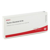 THYMUS GLANDULA GL D 4 Ampullen (PZN 2829441)