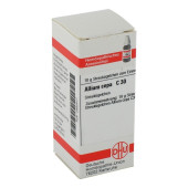 ALLIUM CEPA C 30 Globuli (PZN 2892617)