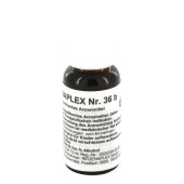 REGENAPLEX Nr.36 b Tropfen (PZN 2642501)