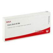 CUTIS feti GL D 6 Ampullen (PZN 2831171)