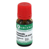 HAMAMELIS VIRGINIANA LM 18 Dilution (PZN 3504623)