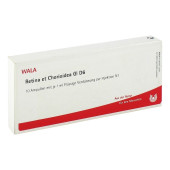 RETINA ET Chorioidea GL D 6 Ampullen (PZN 3354336)