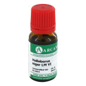 HELLEBORUS NIGER LM 6 Dilution (PZN 3504646)