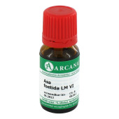 ASA FOETIDA LM 6 Dilution (PZN 3503664)