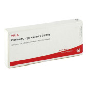 CEREBRUM REGIO motorica GL D 30 Ampullen (PZN 3359871)
