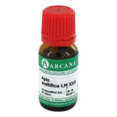 APIS MELLIFICA LM 30 Dilution (PZN 3503598)