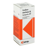 SYNERGON KOMPLEX 67 Carduus marianus N Tropfen (PZN 3574807)