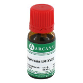 EUPHRASIA LM 18 Dilution (PZN 3504474)