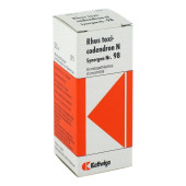 SYNERGON KOMPLEX 98 Rhus toxicodendron N Tropfen (PZN 3575126)