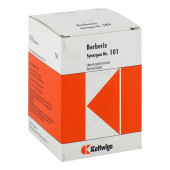SYNERGON KOMPLEX 101 Berberis Tabletten (PZN 4905749)