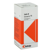 SYNERGON KOMPLEX 91 Salix N Tropfen (PZN 4905643)