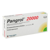 Pangrol 20000 (PZN 4783192)