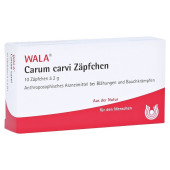 Carum carvi Zäpfchen (PZN 1447973)