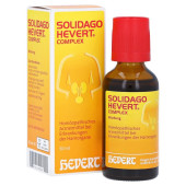 SOLIDAGO HEVERT Complex Tropfen (PZN 4375317)