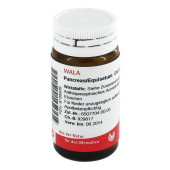 PANCREAS/EQUISETUM Globuli (PZN 8786939)