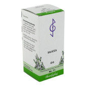 BIOCHEMIE 11 Silicea D 6 Tabletten (PZN 1073981)