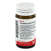 GLANDULA SUPRARENALES sinistra cum Cupro Globuli (PZN 8786023)