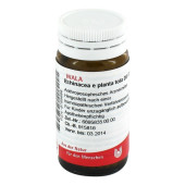 ECHINACEA E planta tota D 3 Globuli (PZN 8785696)