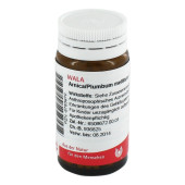 ARNICA/PLUMBUM /Mellitum Globuli (PZN 8783970)