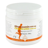 Glucosamin 500 mg + Chondroitin 400 mg Kapseln (PZN 2076527)