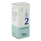 BIOCHEMIE Pflüger 2 Calcium phosphoricum D 6 Tro. (PZN 6323773)
