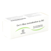 JSO Gw 11 Rhus toxicodendron cp Globuli (PZN 4943201)