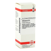OLIBANUM D 6 Dilution (PZN 153991)