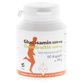 Glucosamin 500 mg + Chondroitin 400 mg Kapseln (PZN 18135)