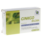GINKGO 100 mg Kapseln+B1+C+E (PZN 2909329)