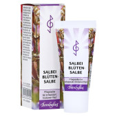 SALBEIBLÜTEN-Salbe (PZN 589694)