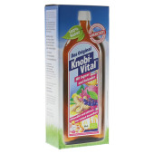 KnobiVital mit Ingwer und Holunder Bio (PZN 8801001)