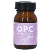 BSF Nutrition OPC 100% Traubenkernextr.100% vegan (PZN 16244075)