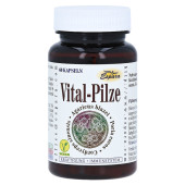VITAL-PILZE Kapseln (PZN 12475205)