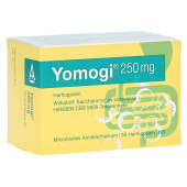 Yomogi 250mg 5 Billionen Zellen (PZN 11885935)