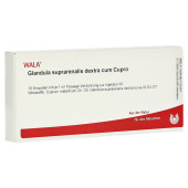 GLANDULA SUPRARENALES dextra cum Cupro Ampullen (PZN 1751518)
