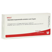 GLANDULA SUPRARENALIS sinistra cum Cupro Ampullen (PZN 1751524)