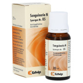 SYNERGON KOMPLEX 85 Sanguinaria N Tropfen (PZN 3633792)