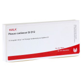 PLEXUS COELIACUS GL D 12 Ampullen (PZN 2949814)