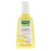 RAUSCH Ei Öl Nähr Shampoo (PZN 11045968)