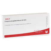CORPUS AMYGDALOIDEUM GL D 15 Ampullen (PZN 2915235)