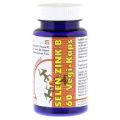 SELEN ZINK Vit.B Komplex Vegi-Kaps 480 mg (PZN 2513034)
