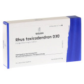 RHUS TOXICODENDRON D 30 Ampullen (PZN 1625908)