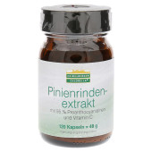 PINIENRINDENEXTRAKT Kapseln (PZN 12419253)