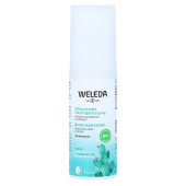 WELEDA Feigenkaktus erfrisch.Feuchtigkeitsspray (PZN 16201278)