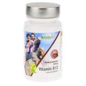 VITAMIN B12 LUTSCHTABLETTEN (PZN 10762337)