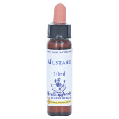 BACHBLÜTEN Mustard Healing Herbs Tropfen (PZN 7363527)