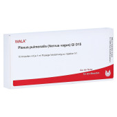 PLEXUS PULMONALIS Nervus vagus GL D 15 Ampullen (PZN 2952414)