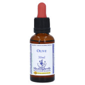 BACHBLÜTEN Olive Healing Herbs Tropfen (PZN 7365064)